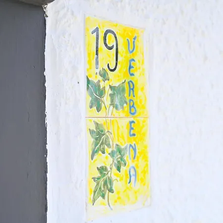 Verbena 19 *